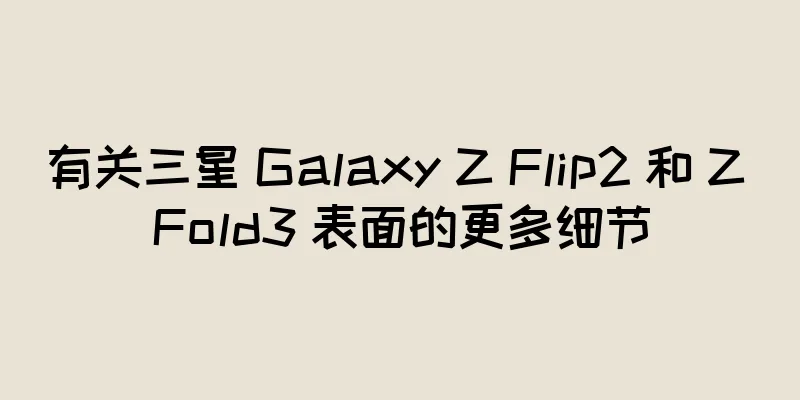 有关三星 Galaxy Z Flip2 和 Z Fold3 表面的更多细节