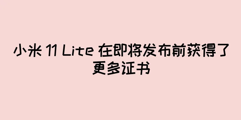 小米 11 Lite 在即将发布前获得了更多证书