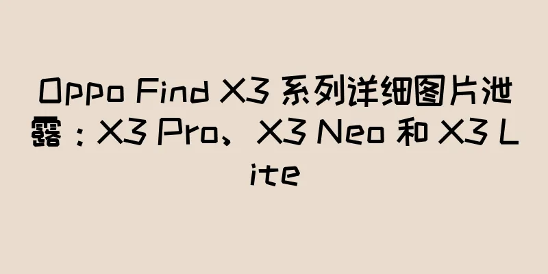 Oppo Find X3 系列详细图片泄露：X3 Pro、X3 Neo 和 X3 Lite