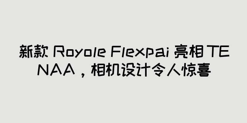新款 Royole Flexpai 亮相 TENAA，相机设计令人惊喜