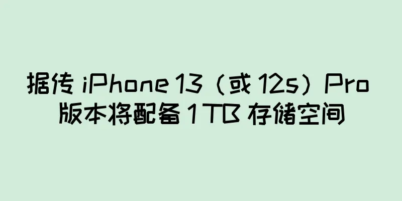 据传 iPhone 13（或 12s）Pro 版本将配备 1 TB 存储空间