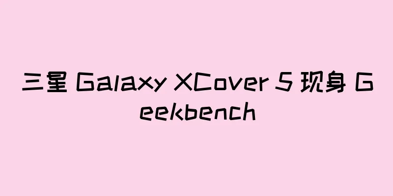 三星 Galaxy XCover 5 现身 Geekbench