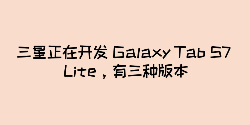 三星正在开发 Galaxy Tab S7 Lite，有三种版本