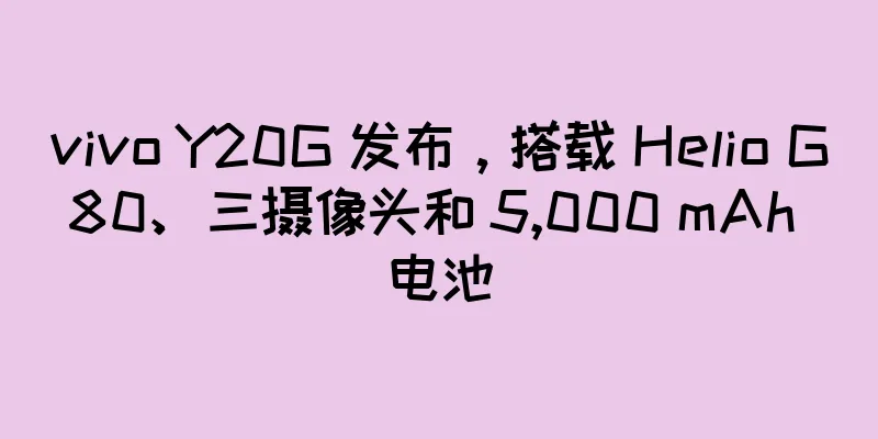 vivo Y20G 发布，搭载 Helio G80、三摄像头和 5,000 mAh 电池