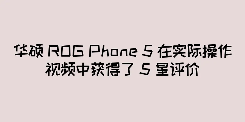 华硕 ROG Phone 5 在实际操作视频中获得了 5 星评价
