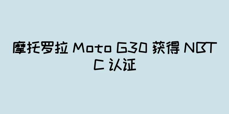 摩托罗拉 Moto G30 获得 NBTC 认证