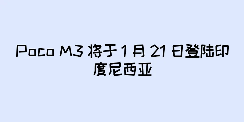 Poco M3 将于 1 月 21 日登陆印度尼西亚