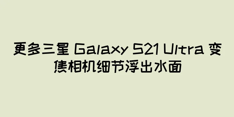 更多三星 Galaxy S21 Ultra 变焦相机细节浮出水面