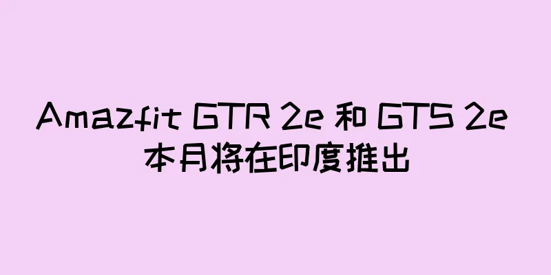 Amazfit GTR 2e 和 GTS 2e 本月将在印度推出