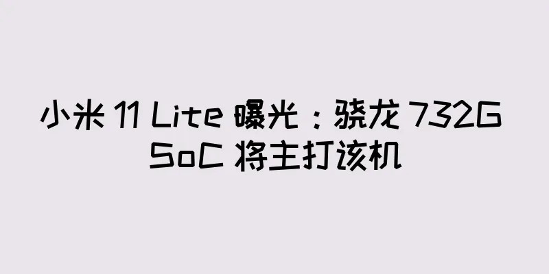 小米 11 Lite 曝光：骁龙 732G SoC 将主打该机