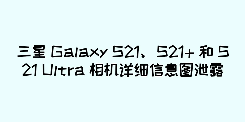 三星 Galaxy S21、S21+ 和 S21 Ultra 相机详细信息图泄露
