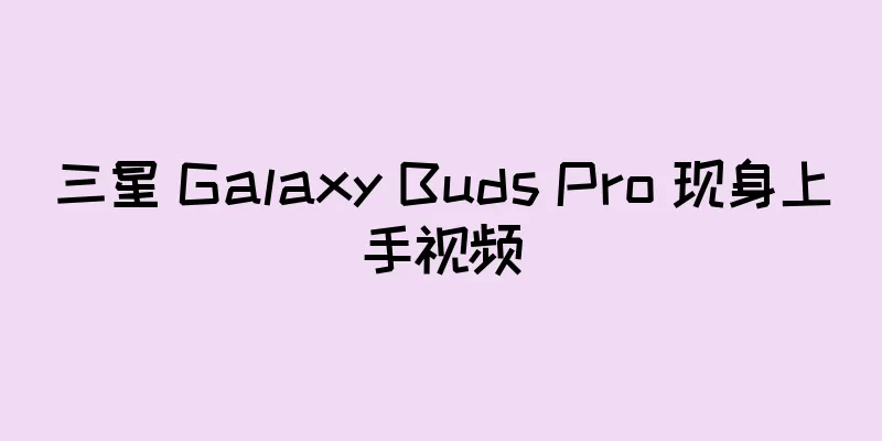 三星 Galaxy Buds Pro 现身上手视频