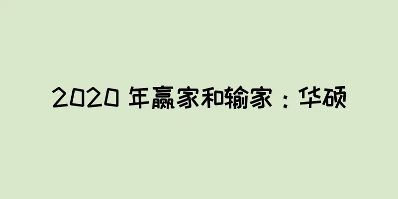 2020 年赢家和输家：华硕