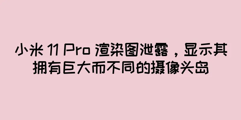 小米 11 Pro 渲染图泄露，显示其拥有巨大而不同的摄像头岛