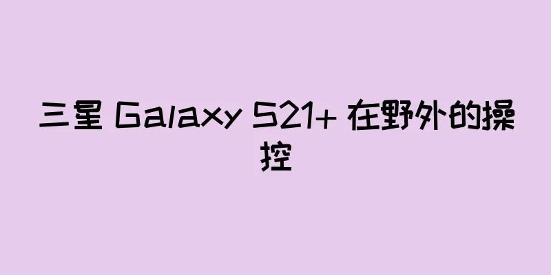 三星 Galaxy S21+ 在野外的操控
