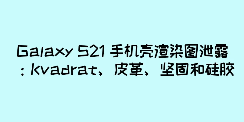 Galaxy S21 手机壳渲染图泄露：Kvadrat、皮革、坚固和硅胶