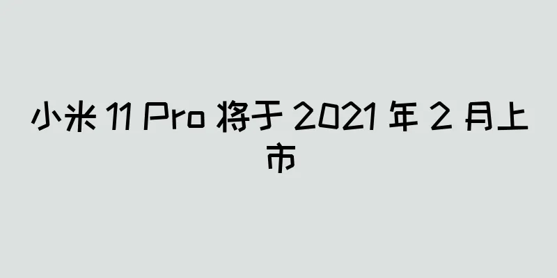 小米 11 Pro 将于 2021 年 2 月上市