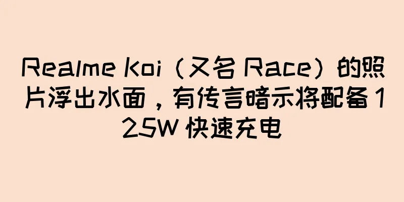 Realme Koi（又名 Race）的照片浮出水面，有传言暗示将配备 125W 快速充电