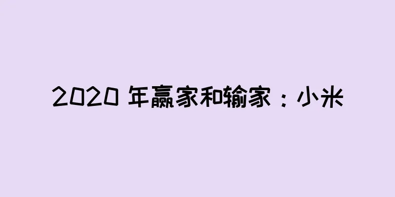 2020 年赢家和输家：小米