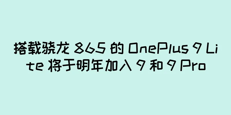 搭载骁龙 865 的 OnePlus 9 Lite 将于明年加入 9 和 9 Pro