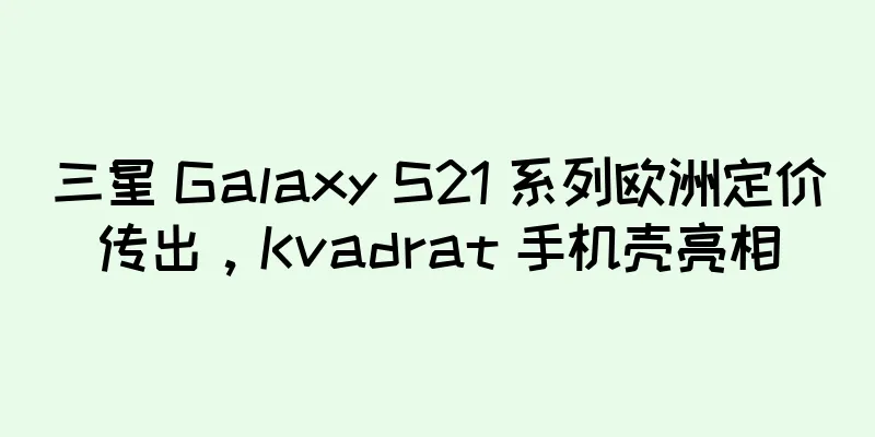 三星 Galaxy S21 系列欧洲定价传出，Kvadrat 手机壳亮相
