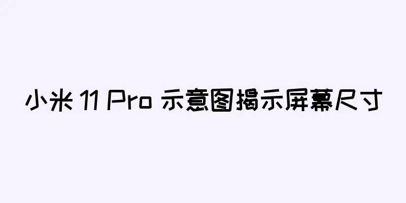 小米 11 Pro 示意图揭示屏幕尺寸