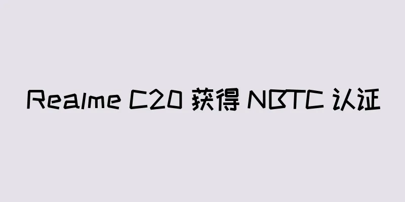 Realme C20 获得 NBTC 认证