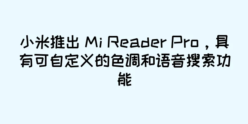 小米推出 Mi Reader Pro，具有可自定义的色调和语音搜索功能