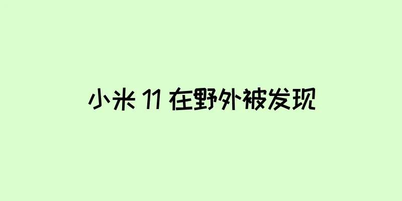 小米 11 在野外被发现
