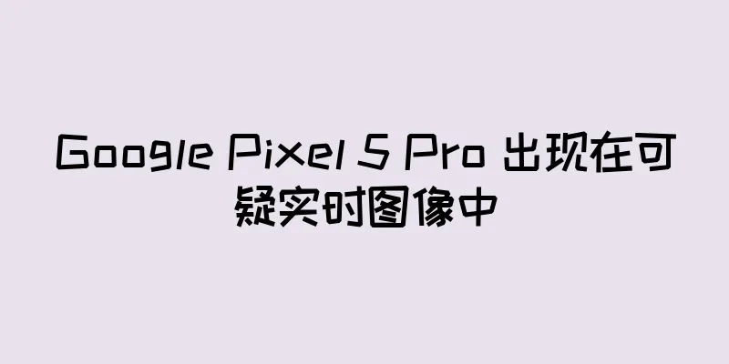 Google Pixel 5 Pro 出现在可疑实时图像中