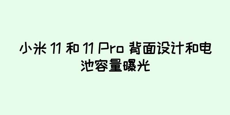小米 11 和 11 Pro 背面设计和电池容量曝光