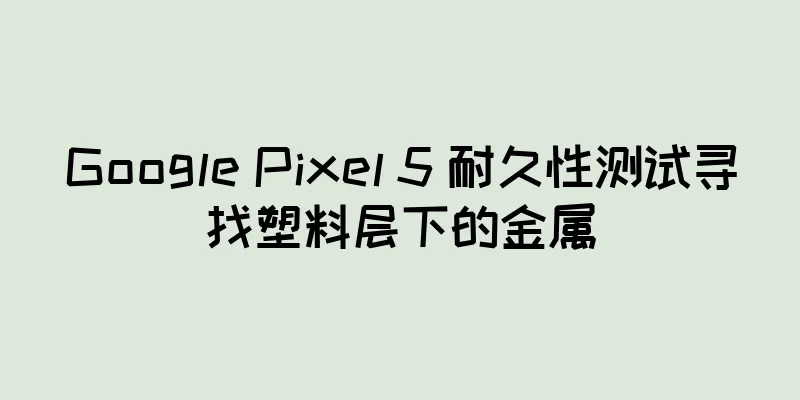 Google Pixel 5 耐久性测试寻找塑料层下的金属