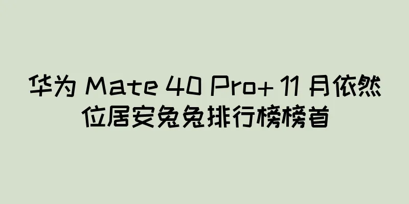华为 Mate 40 Pro+ 11 月依然位居安兔兔排行榜榜首