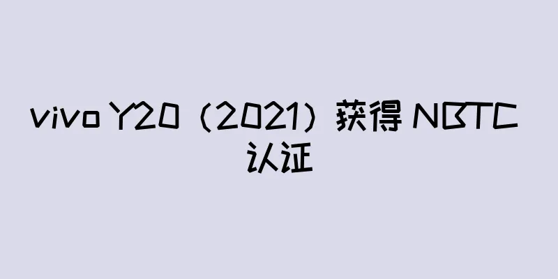 vivo Y20（2021）获得 NBTC 认证