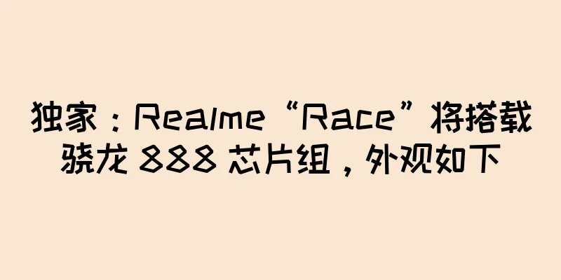 独家：Realme“Race”将搭载骁龙 888 芯片组，外观如下