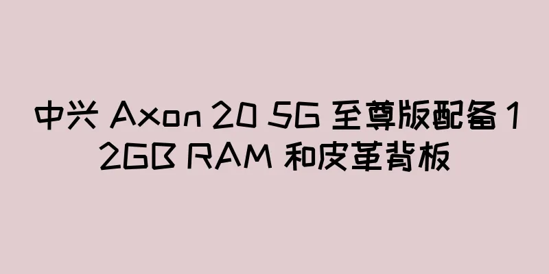 中兴 Axon 20 5G 至尊版配备 12GB RAM 和皮革背板