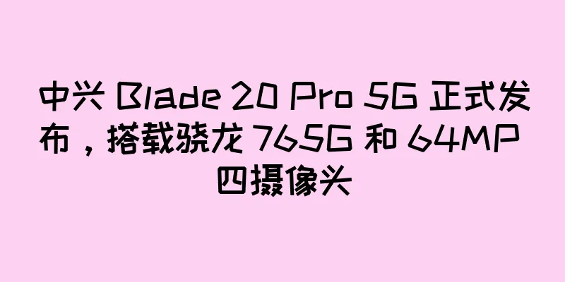 中兴 Blade 20 Pro 5G 正式发布，搭载骁龙 765G 和 64MP 四摄像头