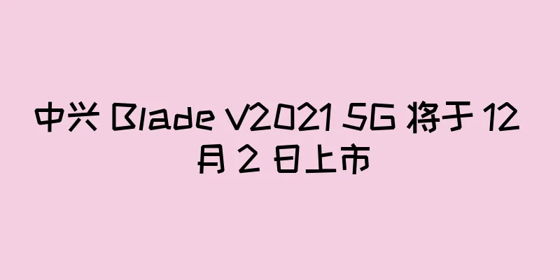 中兴 Blade V2021 5G 将于 12 月 2 日上市