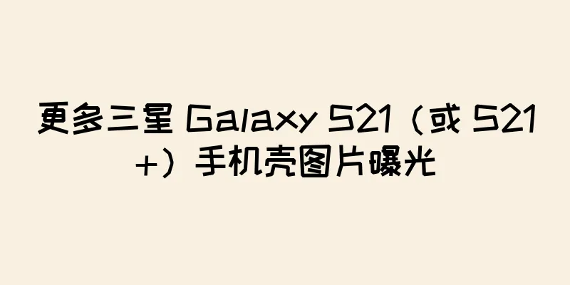 更多三星 Galaxy S21（或 S21+）手机壳图片曝光