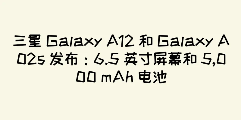 三星 Galaxy A12 和 Galaxy A02s 发布：6.5 英寸屏幕和 5,000 mAh 电池