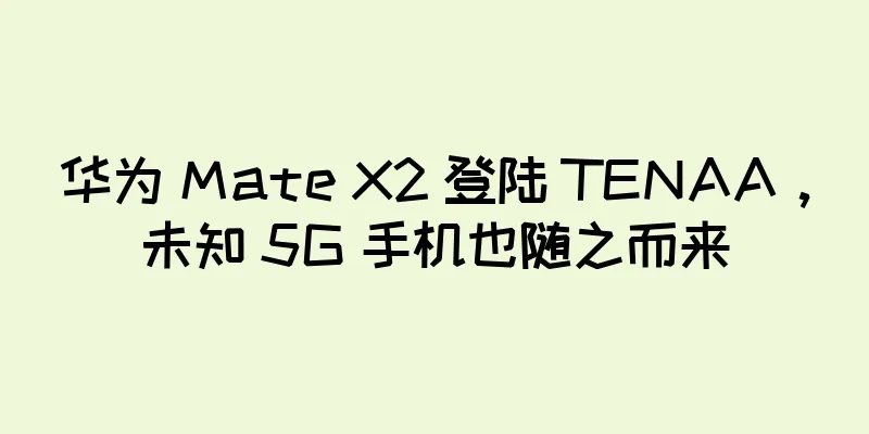 华为 Mate X2 登陆 TENAA，未知 5G 手机也随之而来