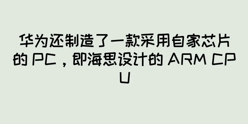 华为还制造了一款采用自家芯片的 PC，即海思设计的 ARM CPU