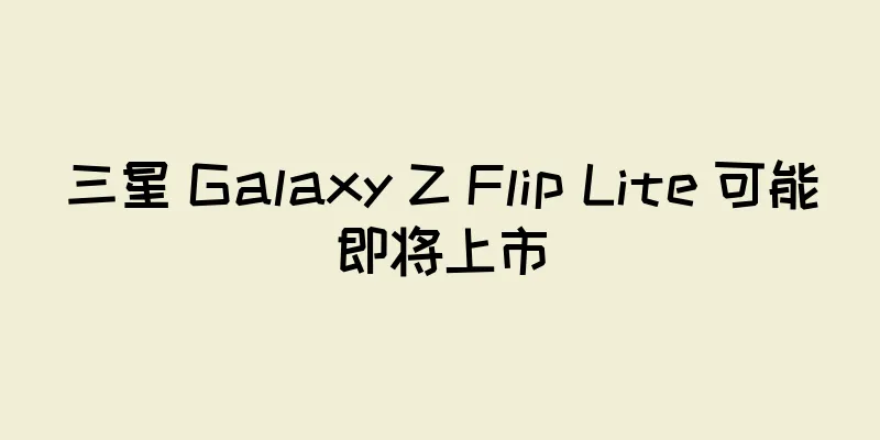 三星 Galaxy Z Flip Lite 可能即将上市