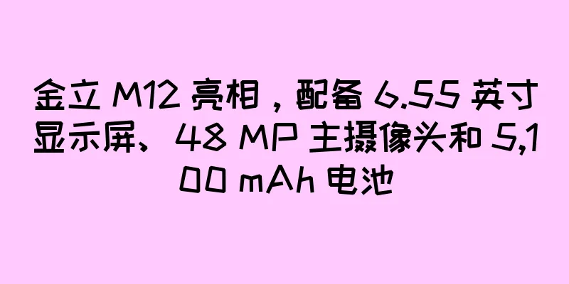 金立 M12 亮相，配备 6.55 英寸显示屏、48 MP 主摄像头和 5,100 mAh 电池