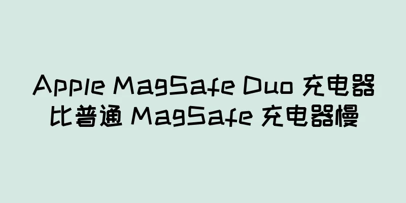 Apple MagSafe Duo 充电器比普通 MagSafe 充电器慢