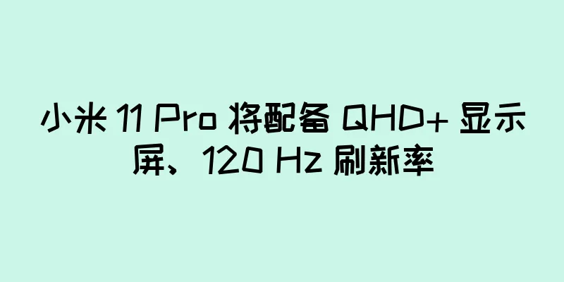 小米 11 Pro 将配备 QHD+ 显示屏、120 Hz 刷新率