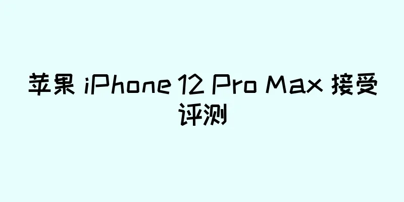 苹果 iPhone 12 Pro Max 接受评测