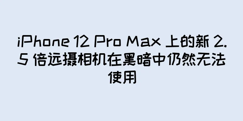 iPhone 12 Pro Max 上的新 2.5 倍远摄相机在黑暗中仍然无法使用