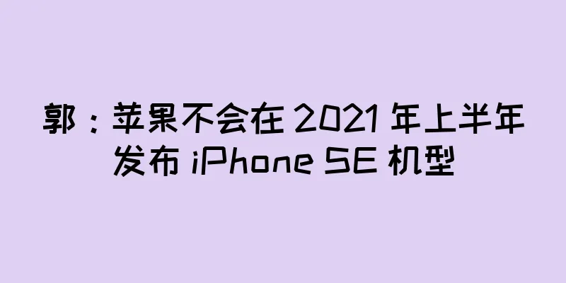 郭：苹果不会在 2021 年上半年发布 iPhone SE 机型