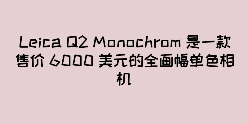 Leica Q2 Monochrom 是一款售价 6000 美元的全画幅单色相机